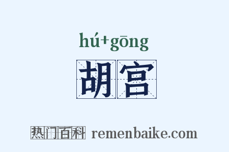 胡宫是什么意思的图片